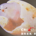 崂山绿玉