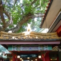 夏威夷 希尔顿酒店度假村