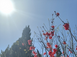 融科院·乡约智库 | 转 山