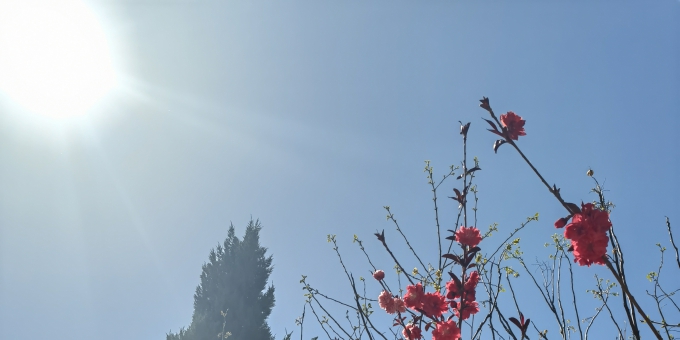 融科院·乡约智库 | 转 山