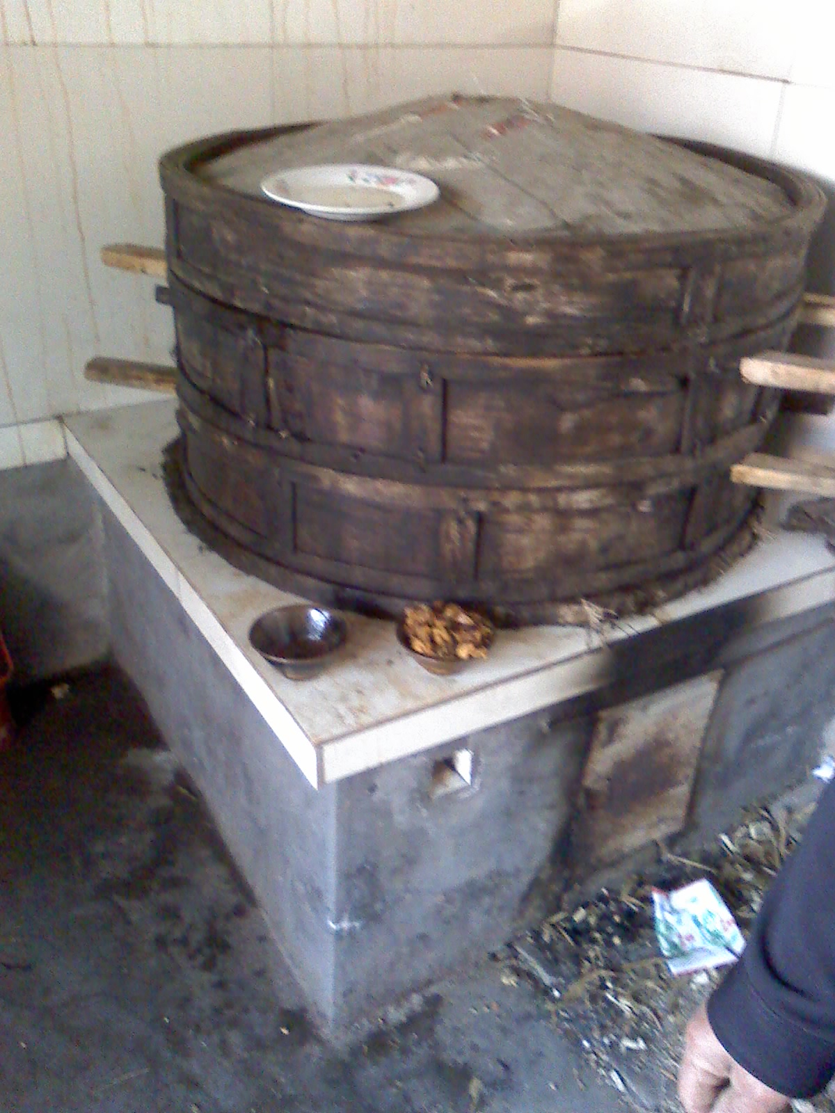 27-01-09_1305.jpg