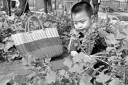 潍县萝卜脆-3.jpg