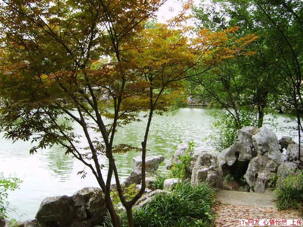 启园-5.jpg