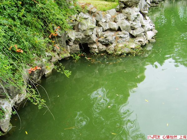 启园-6.jpg