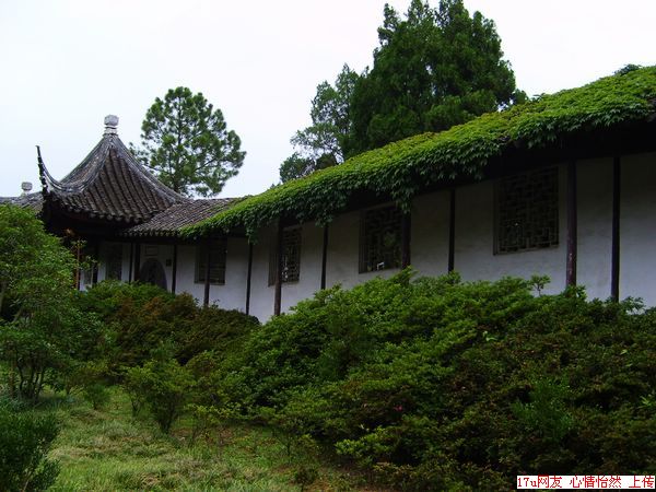 启园-7.jpg