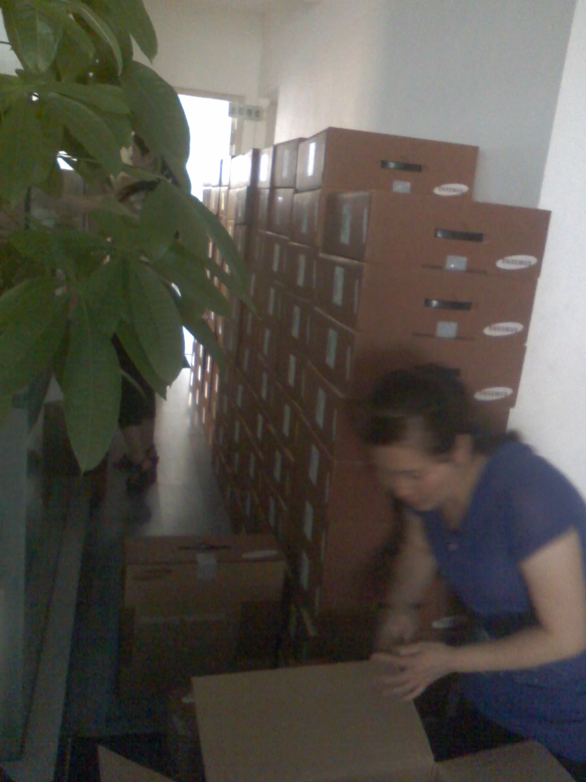 10-08-10_1436.jpg