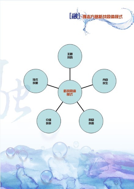 雅志方略新共同体模式.jpg
