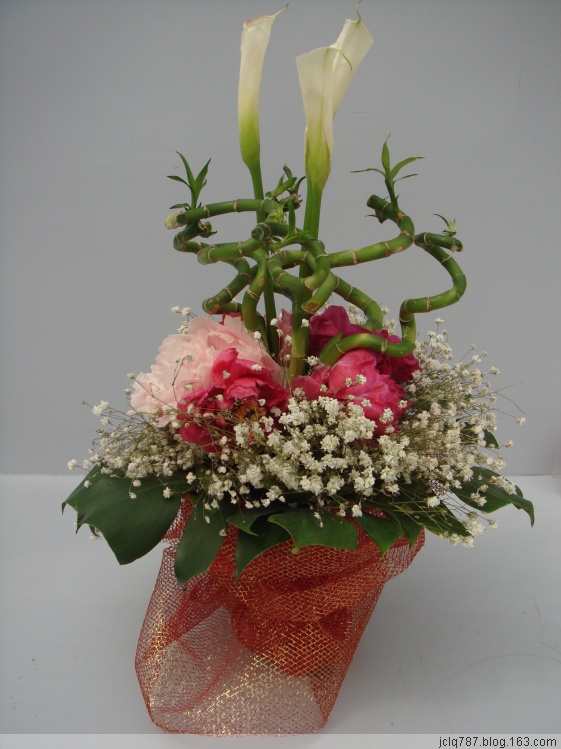 菏泽牡丹-32.jpg