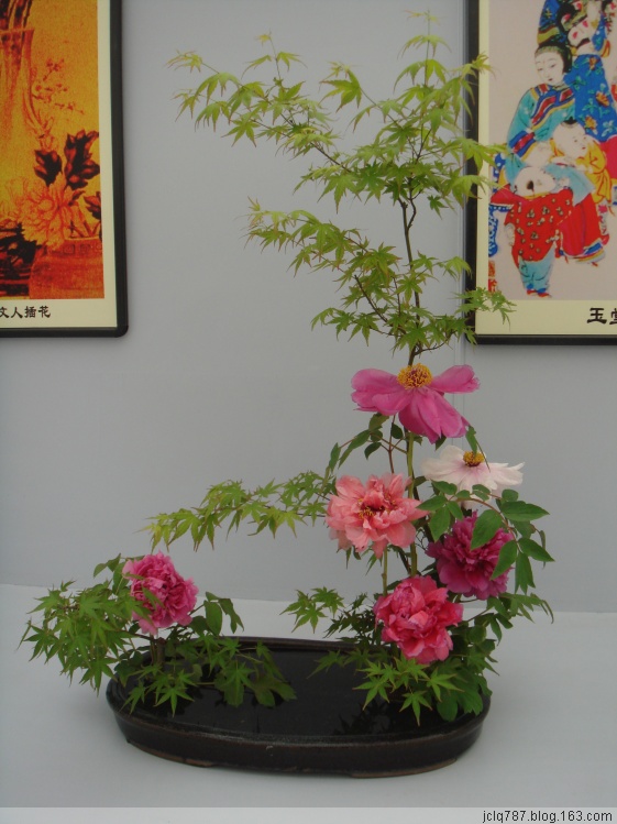 菏泽牡丹-33.jpg
