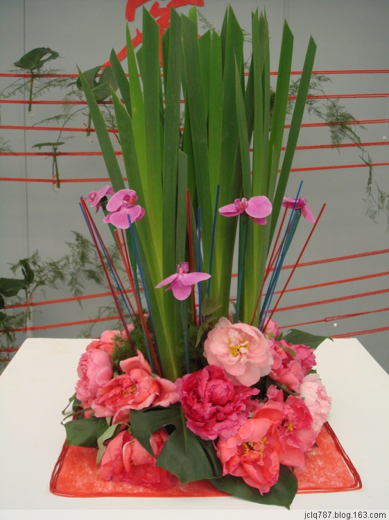 菏泽牡丹-36.jpg