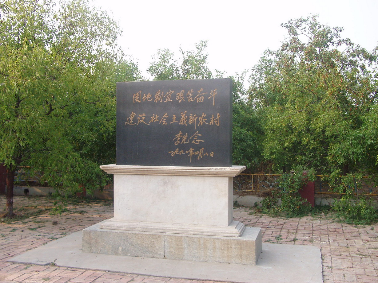 乐陵小枣-2.jpg