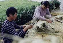 谷村席编-11.jpg