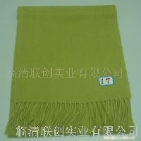 2007118152351566.JPG