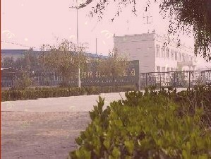 未命名.jpg