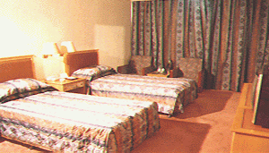 20083319391573.gif
