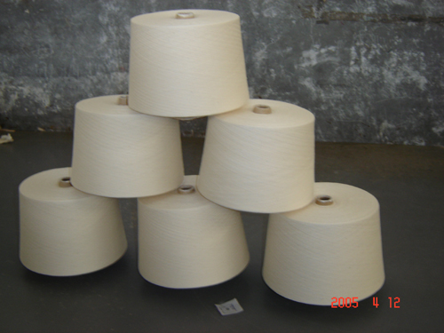 qiye_cj20070322152015.jpg