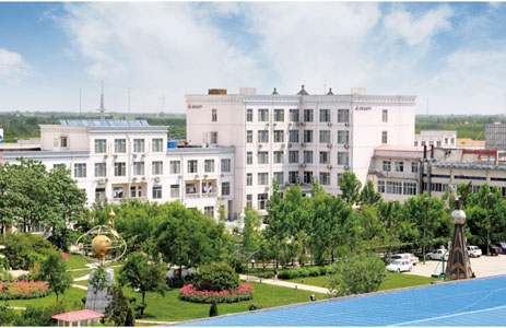 qiye_cj20070322152015.jpg
