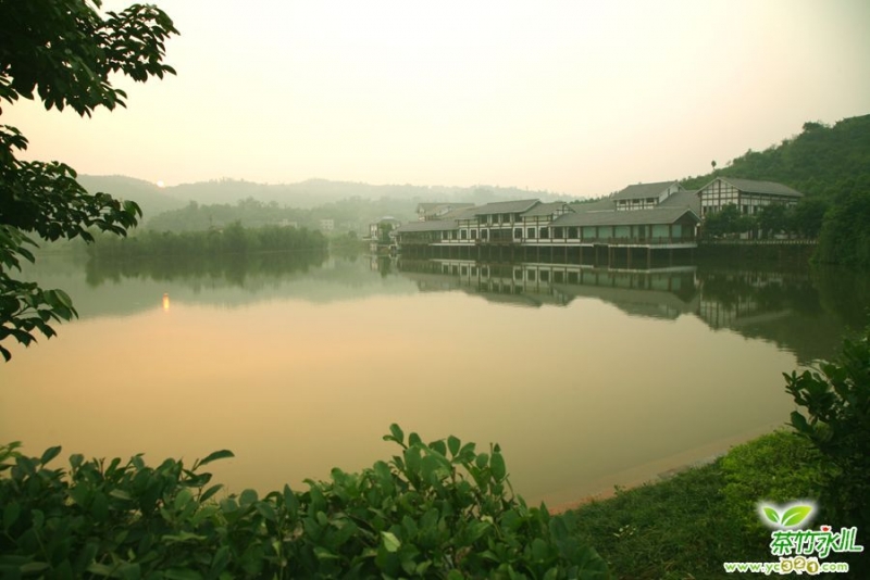 永川豆豉11.jpg
