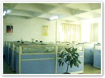 qiye_cj20070322152015.jpg
