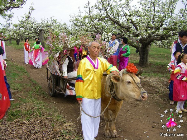 吉林苹果梨-9.jpg