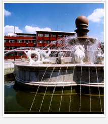 060417b.jpg