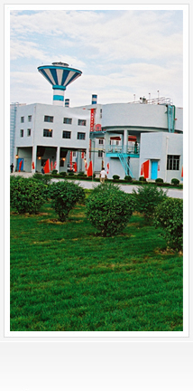 060417d.jpg