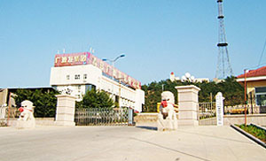 060417b.jpg