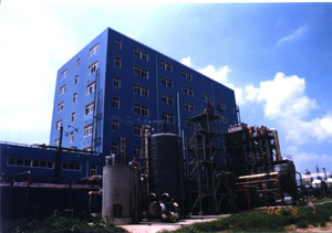 080909.jpg