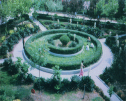cebd0017e82c323f4b90a74a.jpg