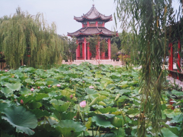 2009_1_10_19_34_625_2008124151413729.jpg