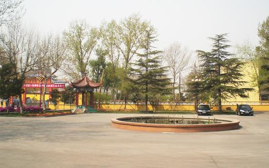 13.jpg