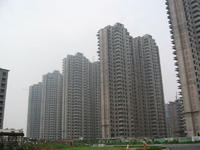d8b8c92a56ca206fd52af172.jpg