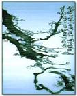 u=3135338682,466712475&fm=0&gp=0[1].jpg