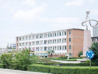 10.jpg
