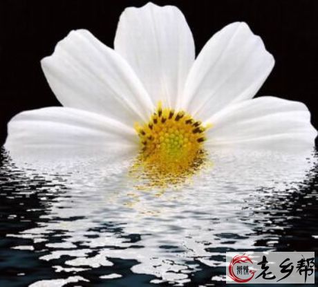 泰戈尔《最远的距离》.jpg