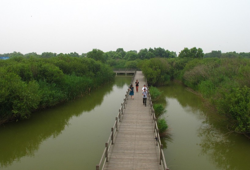 黄河三角洲-5.jpg