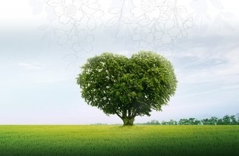 《清平乐·华理60华诞》-1.jpg