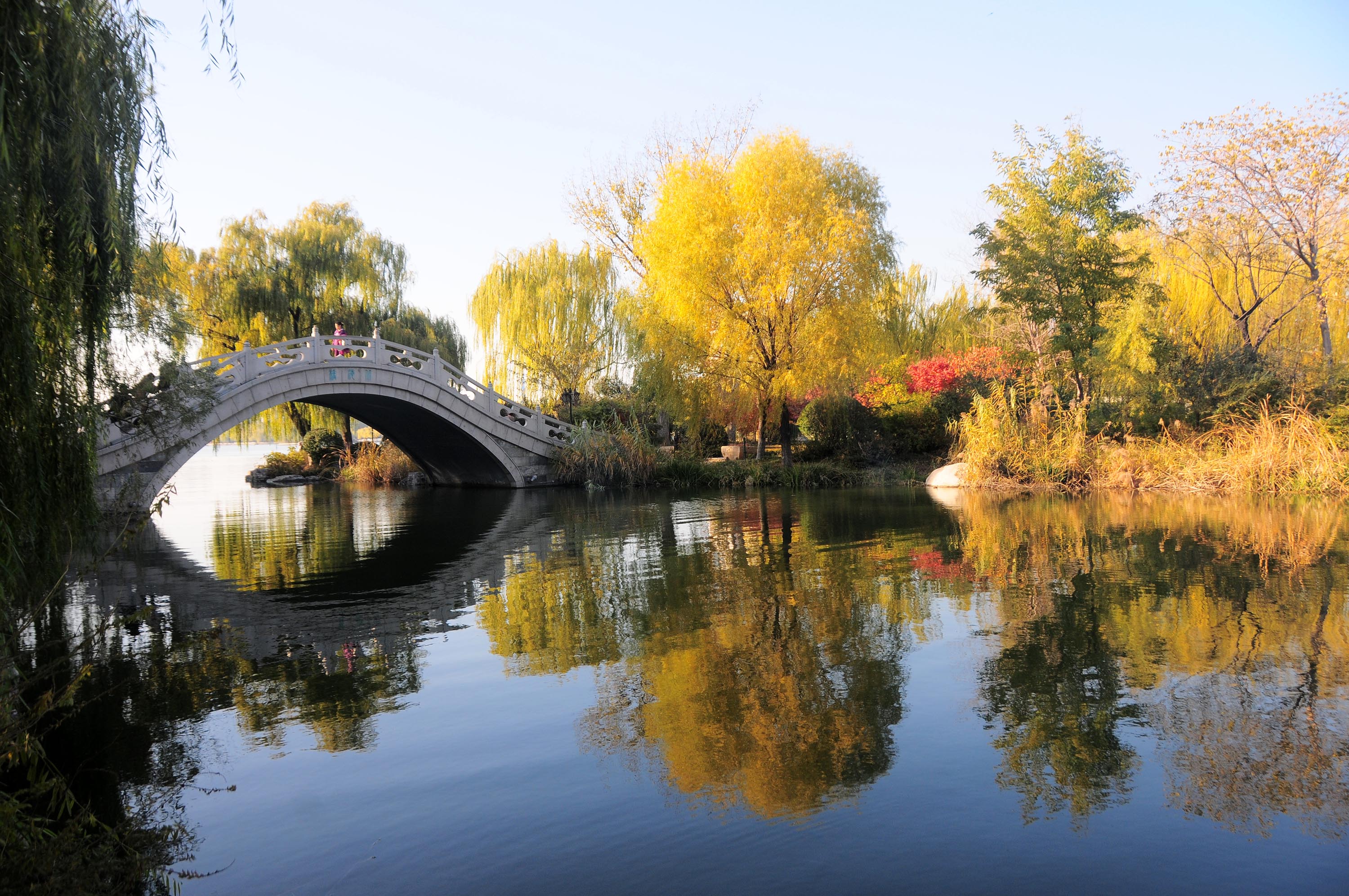 2012年11月19日，山东省济南市“泉城明珠大明湖”秋色美景让人醉。 (16) (1).JPG