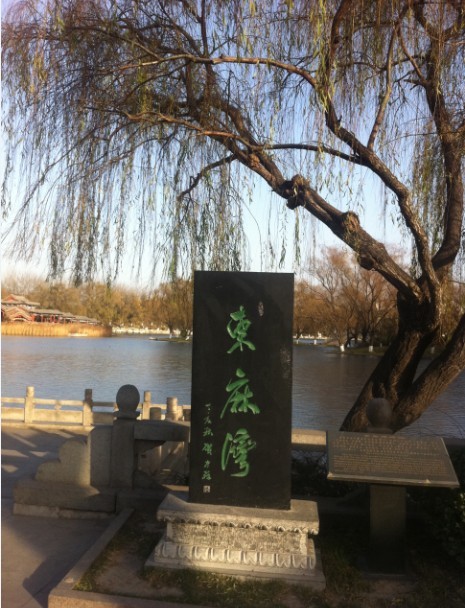 《百脉汇腾》-42.jpg