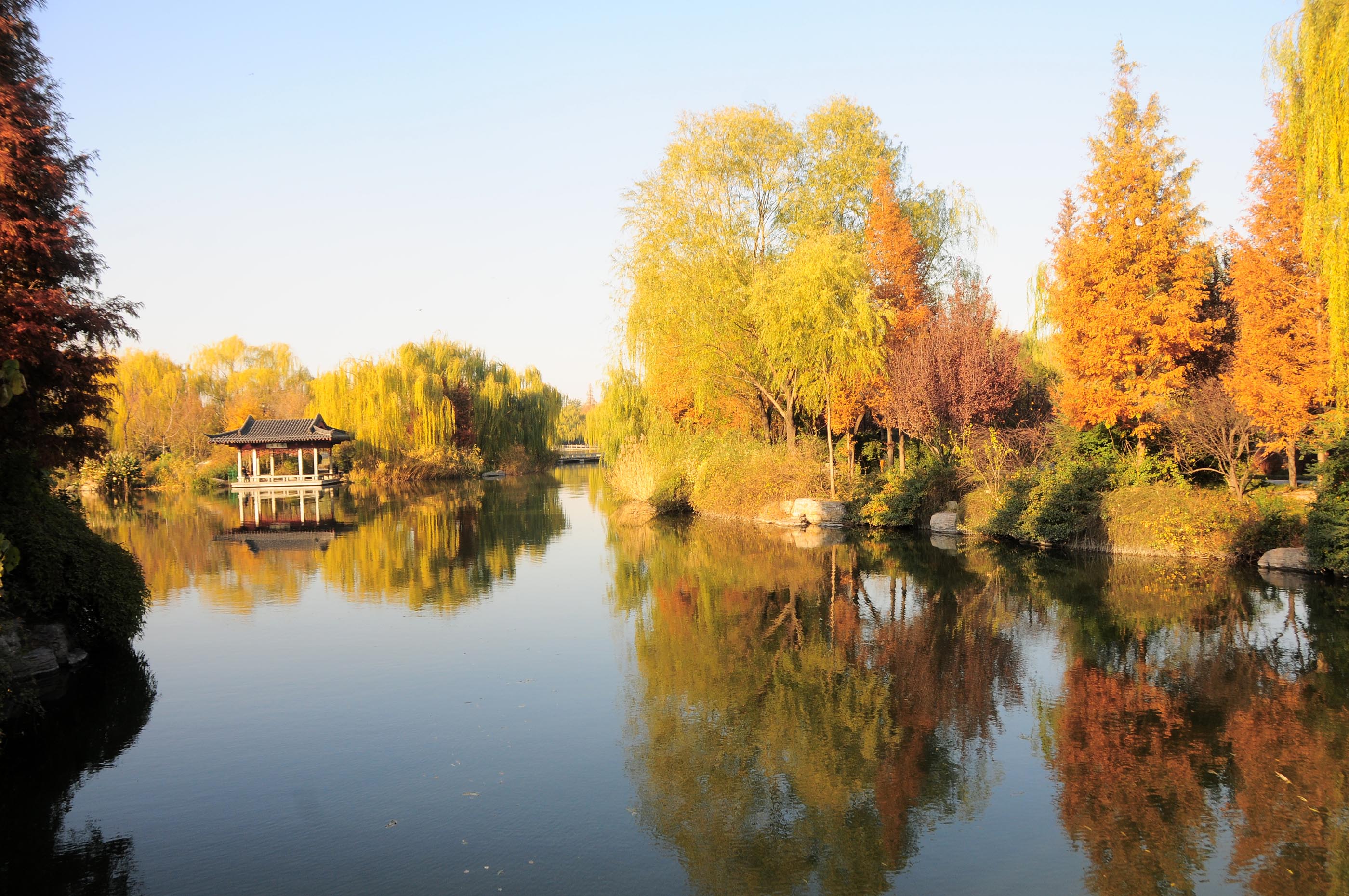 2012年11月19日，山东省济南市“泉城明珠大明湖”秋色美景让人醉。 (29).JPG