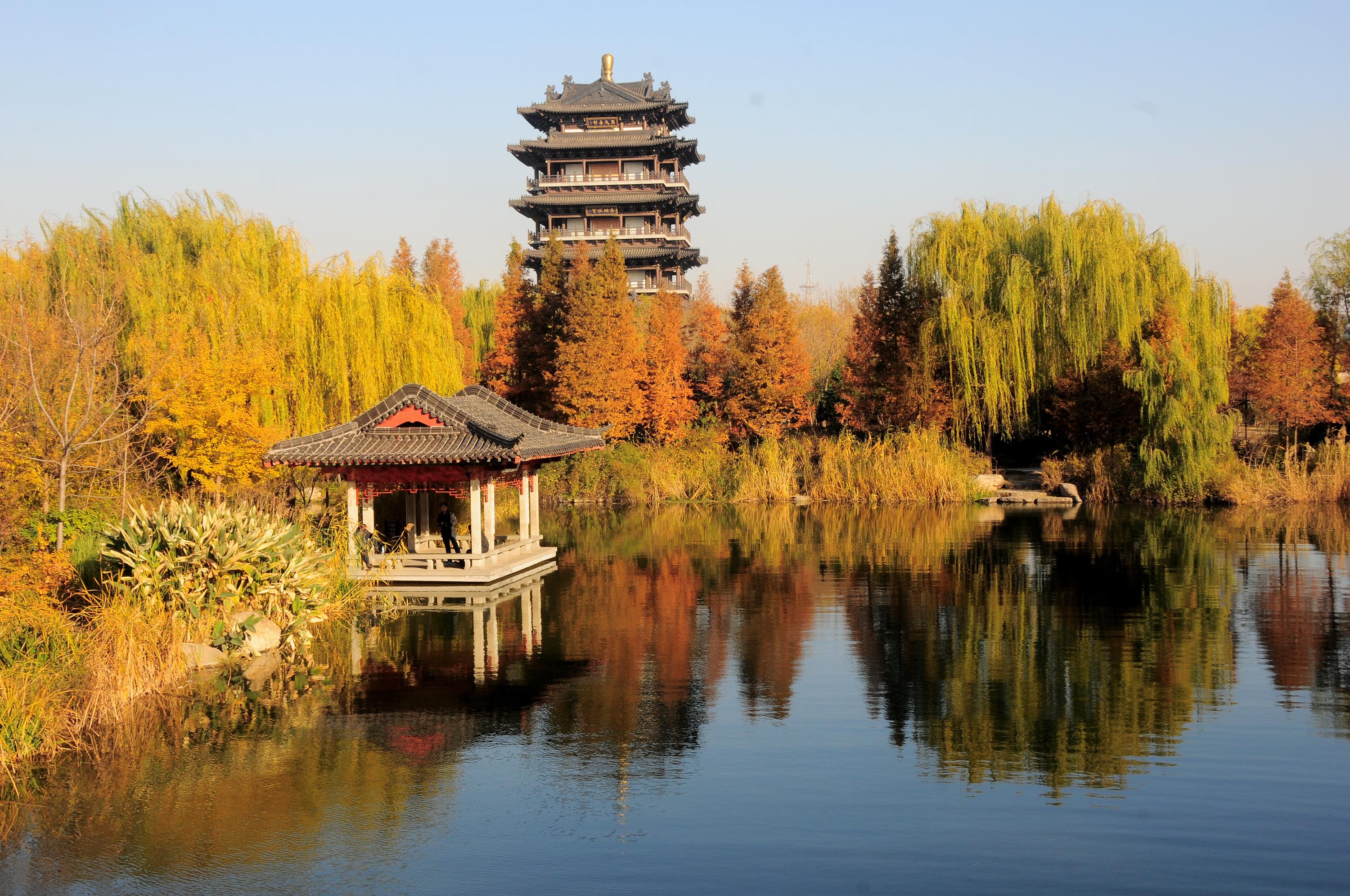 2012年11月19日，山东省济南市“泉城明珠大明湖”秋色美景让人醉。.JPG