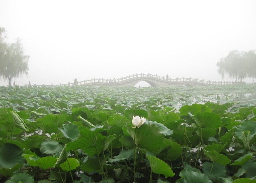 四季明湖-8.jpg