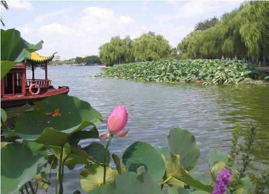 四季明湖-7.jpg
