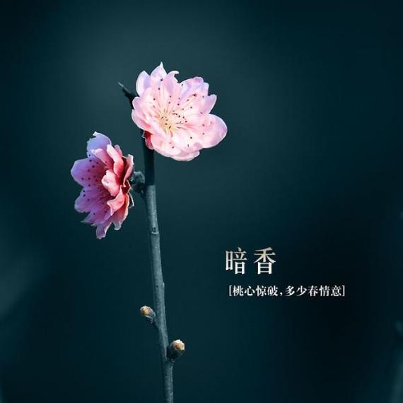 rBUyIlDW2cSK2D1OAABF5d_66gg713.jpg
