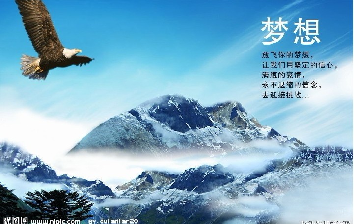 梦想的翅膀