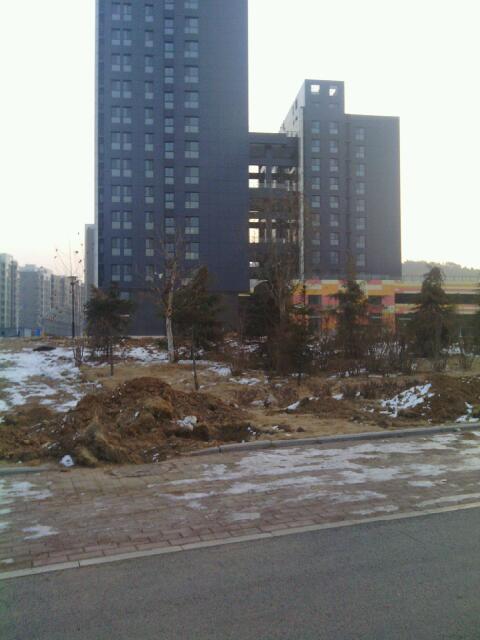 scan20130110075015.jpg