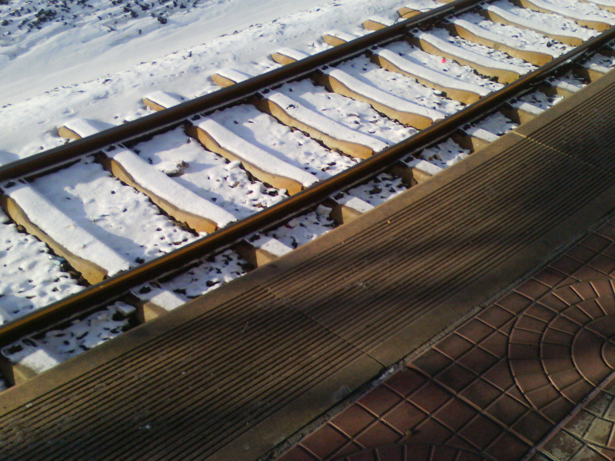 IMG_20121230_094519.jpg