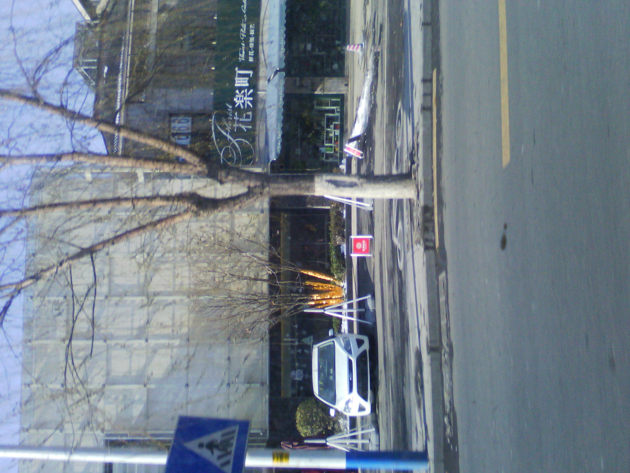 IMG_20121230_111542.jpg
