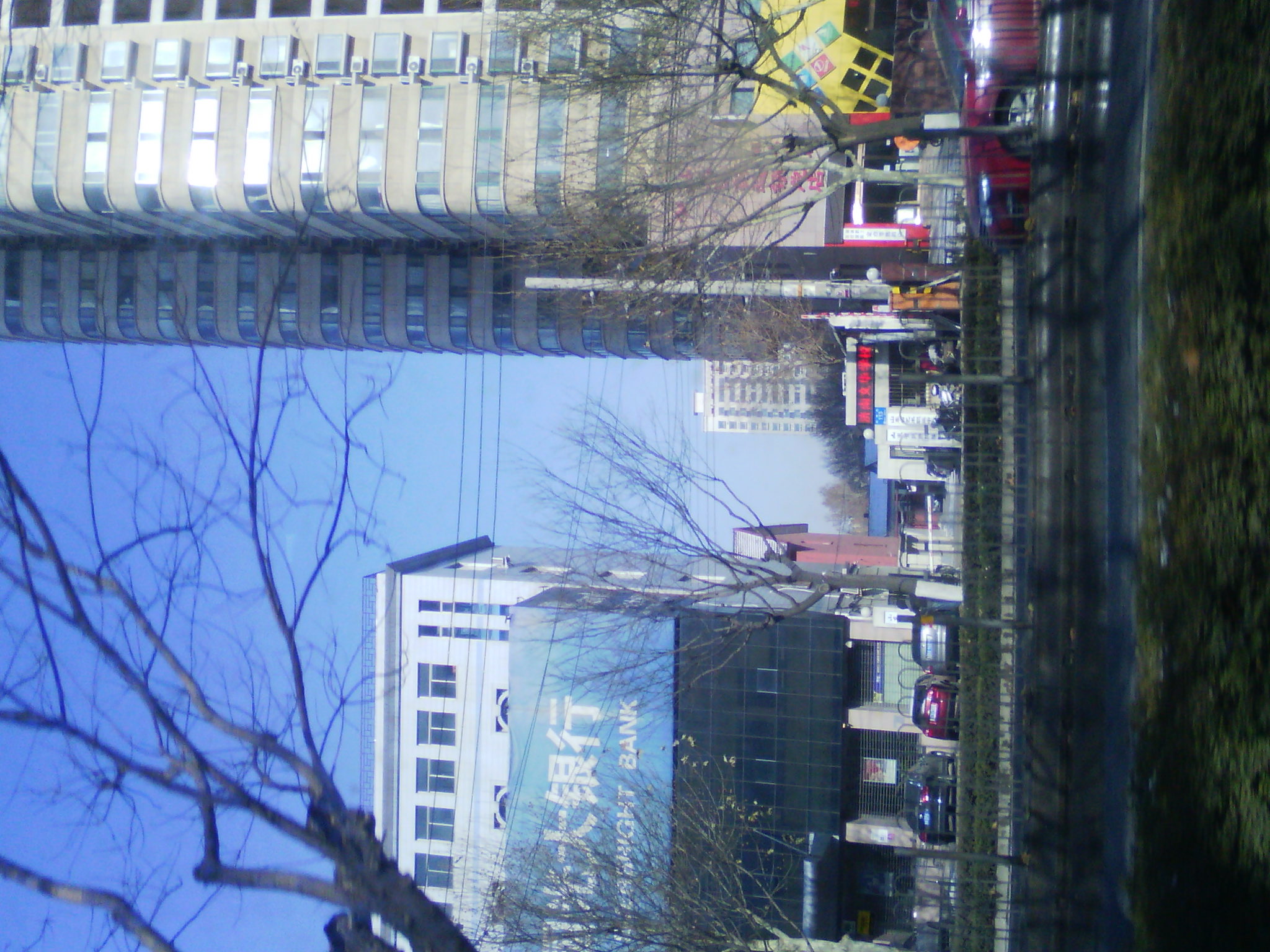 IMG_20121230_112120.jpg