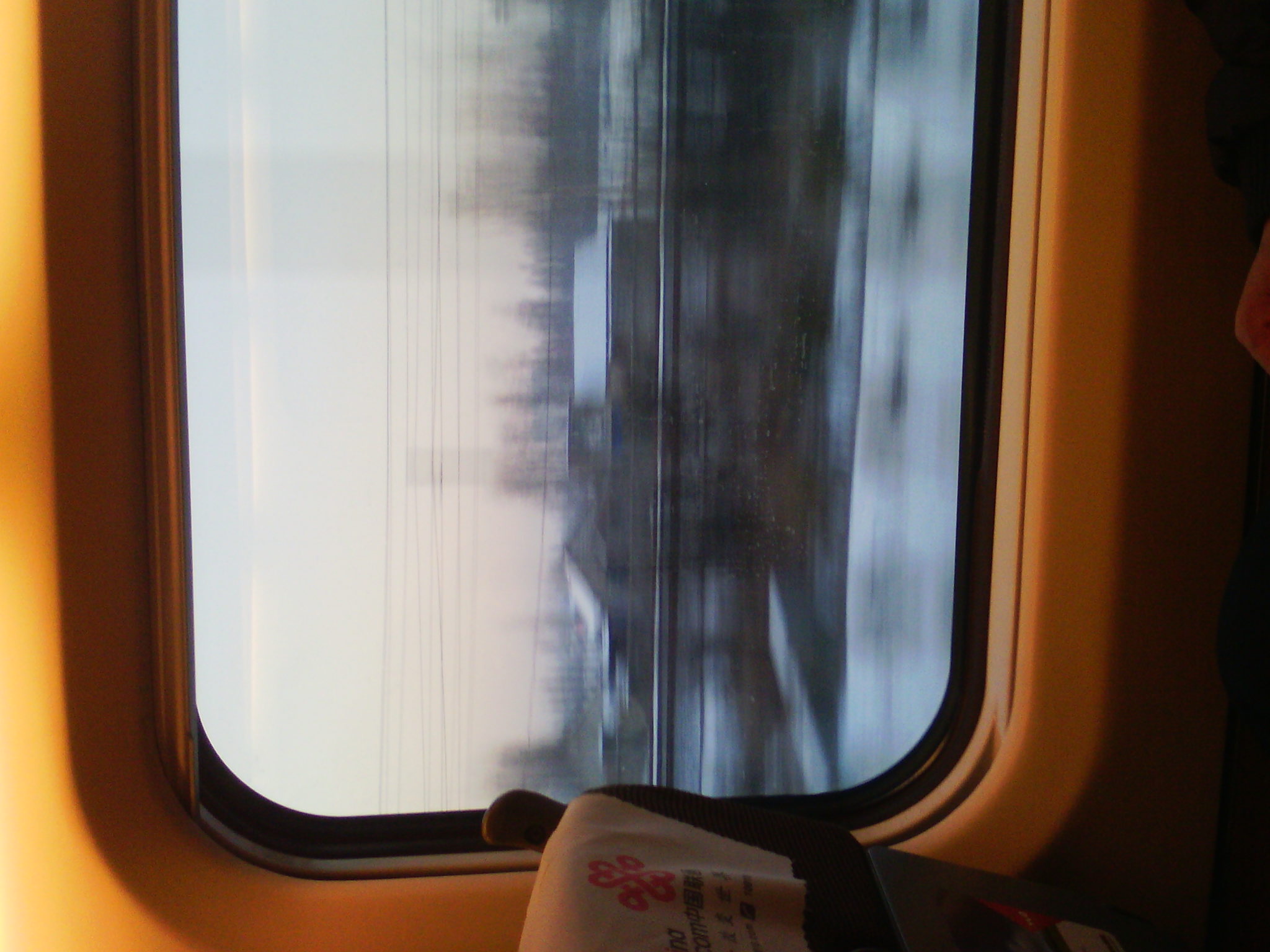 IMG_20121231_073942_00.jpg